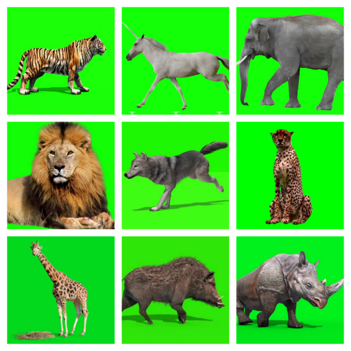 Animals Green Screen Effect Videos - FX Videos