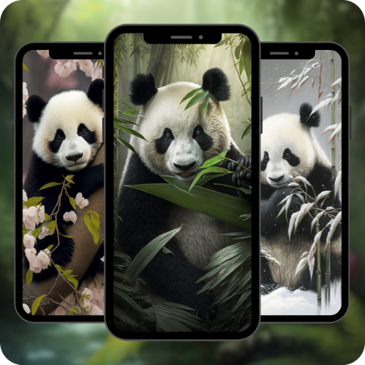 Panda Call Video