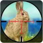 Rabbit Shooting - Wild Hunting