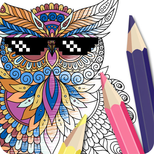 Owl Coloring Book - Pages