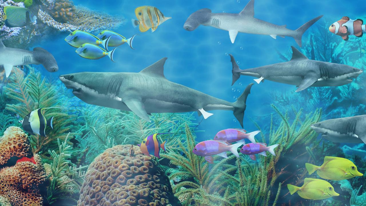 Dream Aquarium Screensaver 1.25 Màn hình chờ bể cá ảo sống động – mobifirst