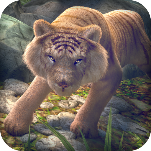 Tiger Run | Animal Simulator