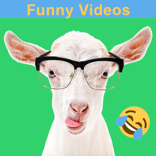 Funny Animal Videos