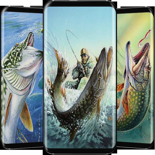Download Fishing Wallpaper