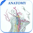 Gray's Anatomy - Atlas || Offline || Free