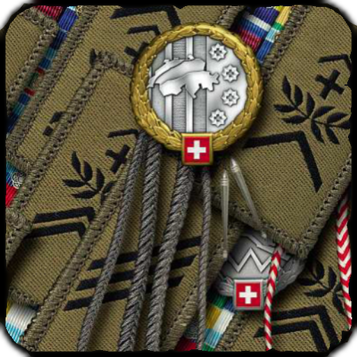 Schweizer Armee Dienstgrade