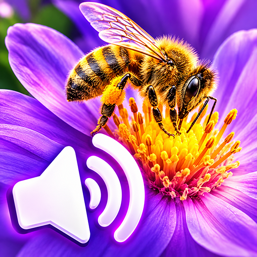 Insect Sounds