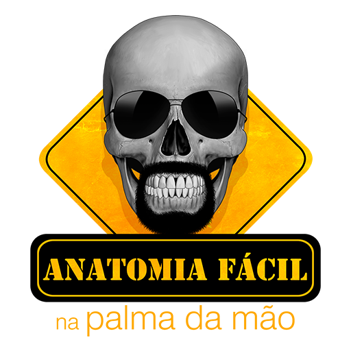 Anatomia Fácil na Palma da Mão