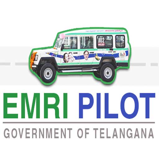 EMRI Pilot