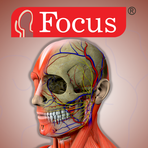 Head and Neck- Digital Anatomy