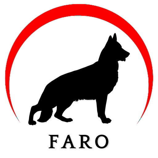 Faro Rastreamento