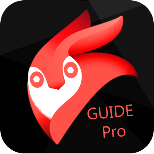Guide for Enlight Pixaloop Videoleap Photo Pro