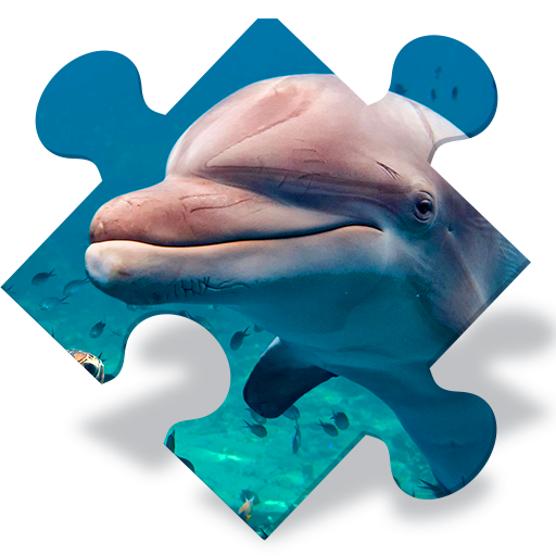 Free Dolphin Jigsaw Puzzles