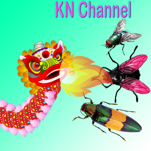 Protect Hive KN Channel