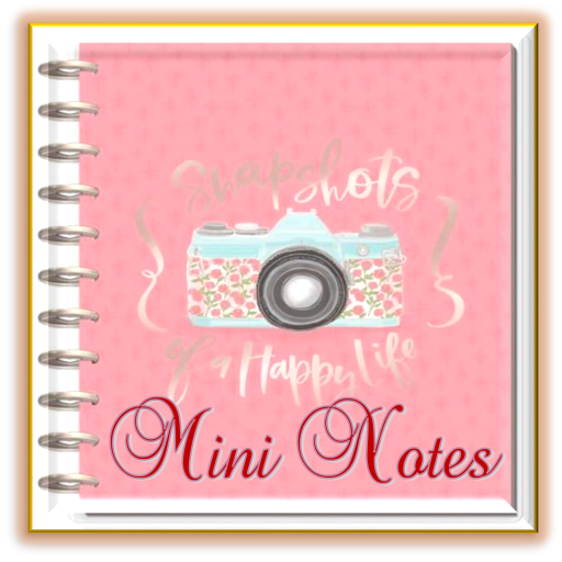 Mini Diary Notes