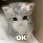 Sad Stickers For WASticker