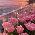 Flowers Wallpaper