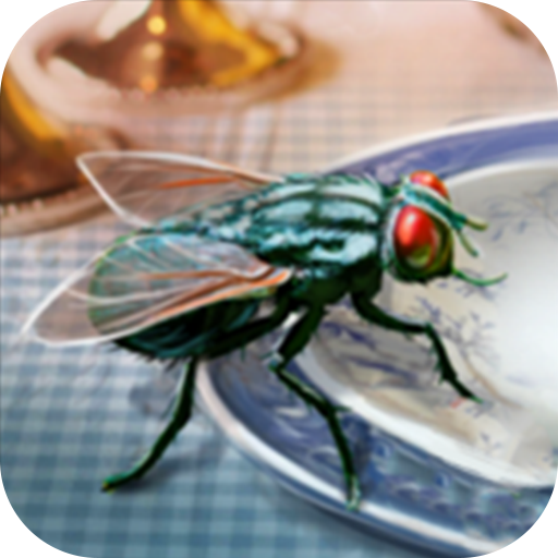 Fly Insect Simulator