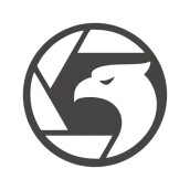Stealth Browser