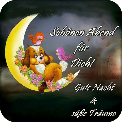 Guten Abend Gute Nacht Bilder