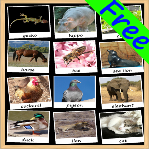 Download Animal Sounds Soundboard android on PC