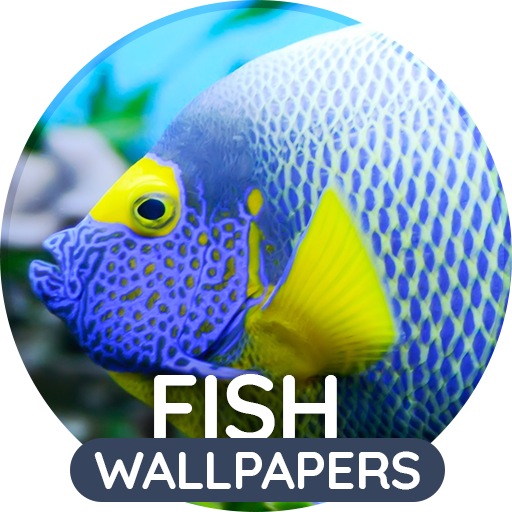 Wallpapers 4K with fish