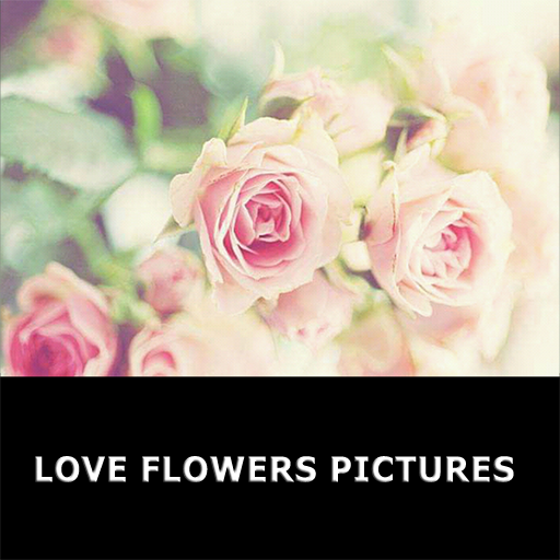 Romantic Love flowers
