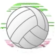 Volleyball Stat!