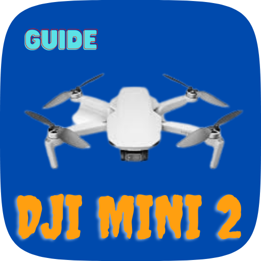 DJI Mini 2 Guide