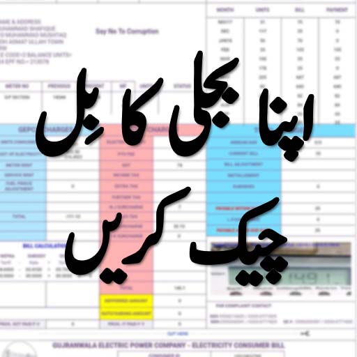 Check Electricity Bill Online 