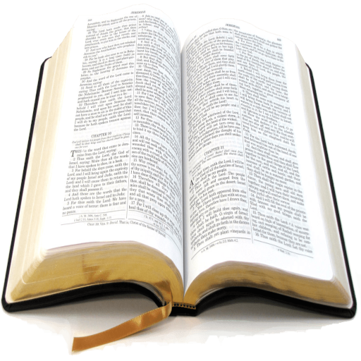 Bible Verse Generator