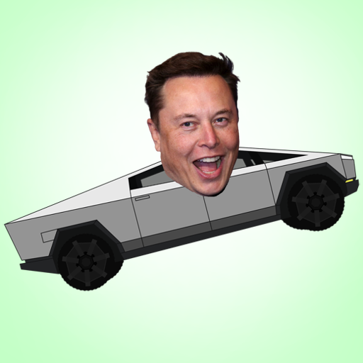 Elon Musk Car