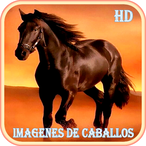 Imagenes de Caballos