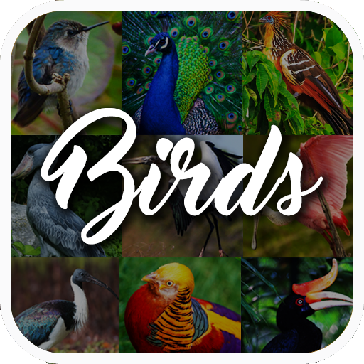 Bird Encyclopedia