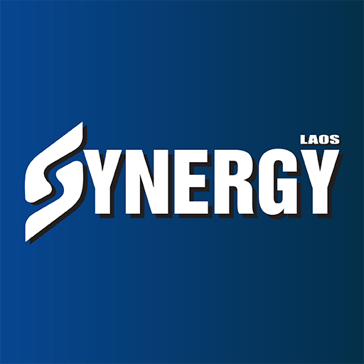 Synergy