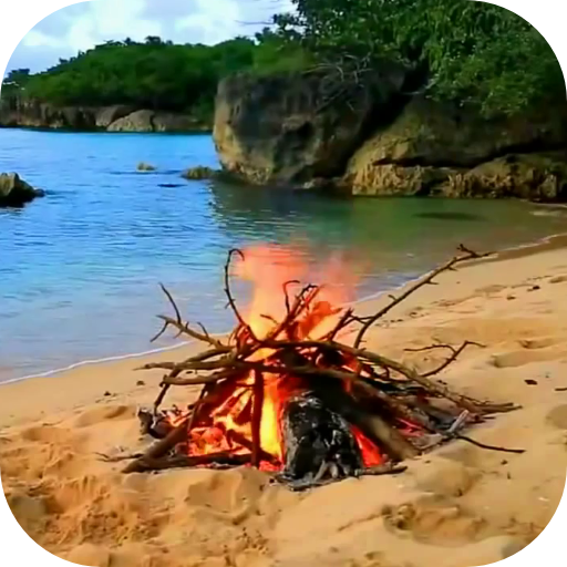 Bonfire Video Live Wallpaper