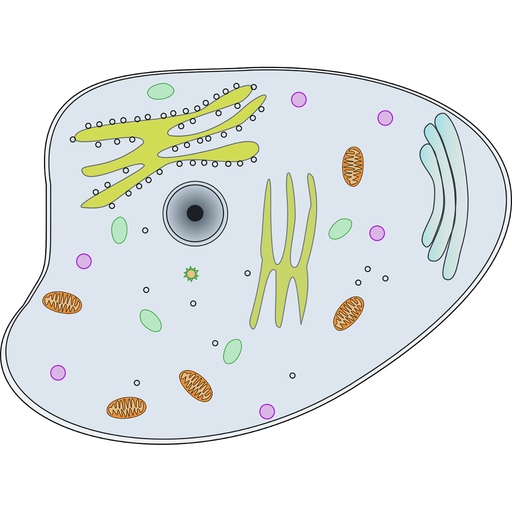 Biological process