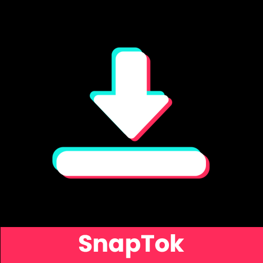 SnapTikTok Video Downloader