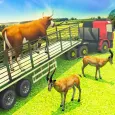 Animal Transporter Offroad