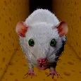 Cheese Rat Escape Horror