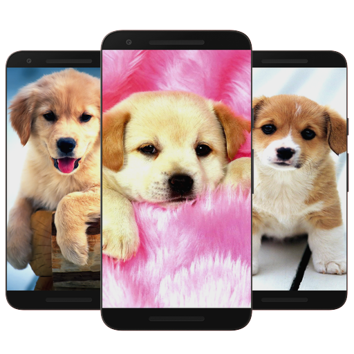 Puppy & Dog Wallpaper HD