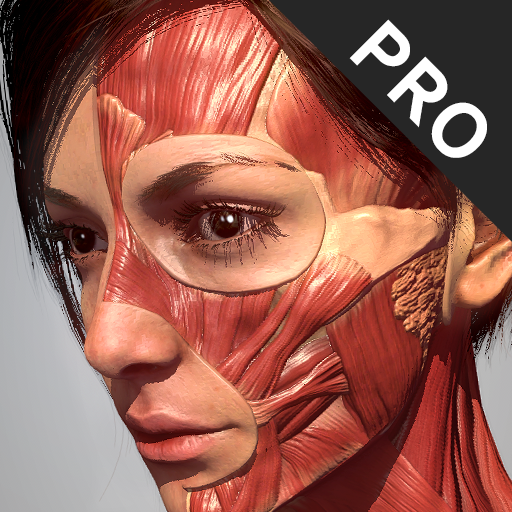 Action Anatomy Pro