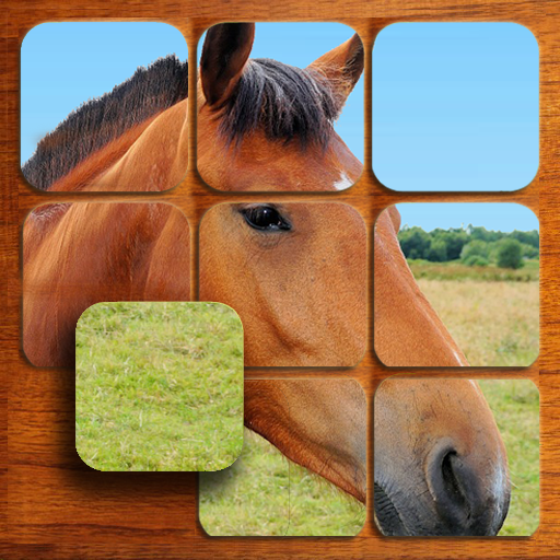 Kuda jigsaw puzzle (GRATIS)