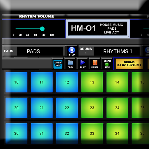 HOUSE MUSIC DRUM PADS & RHYTHM