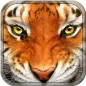 Tiger Simulator 3D Wildlife