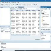 Delphi 64Bits