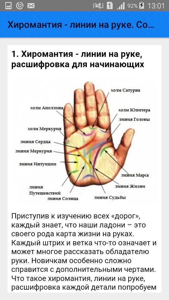 Чтение по ладони для начинающих: основные линии и за что они отвечают