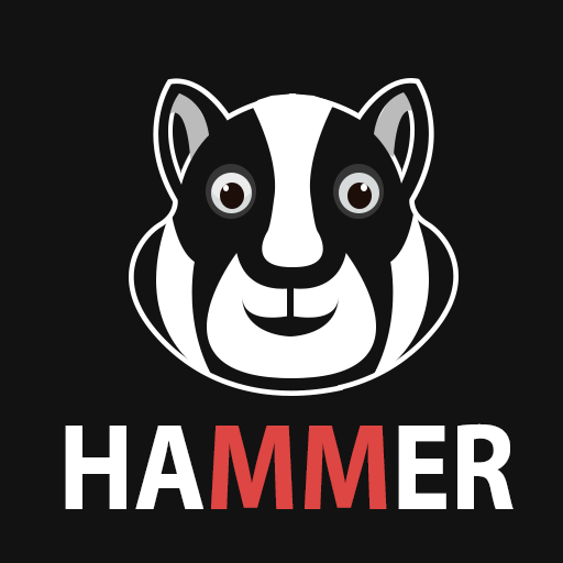 Hammer Hamtser VPN : Proxy