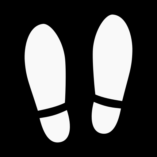 Pedometer - Step Tracker