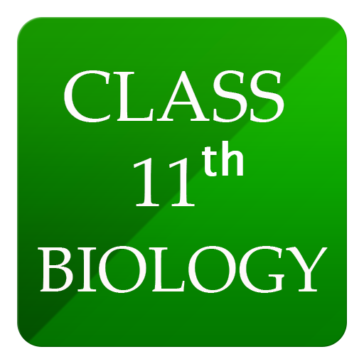 Class 11 Biology Solutions